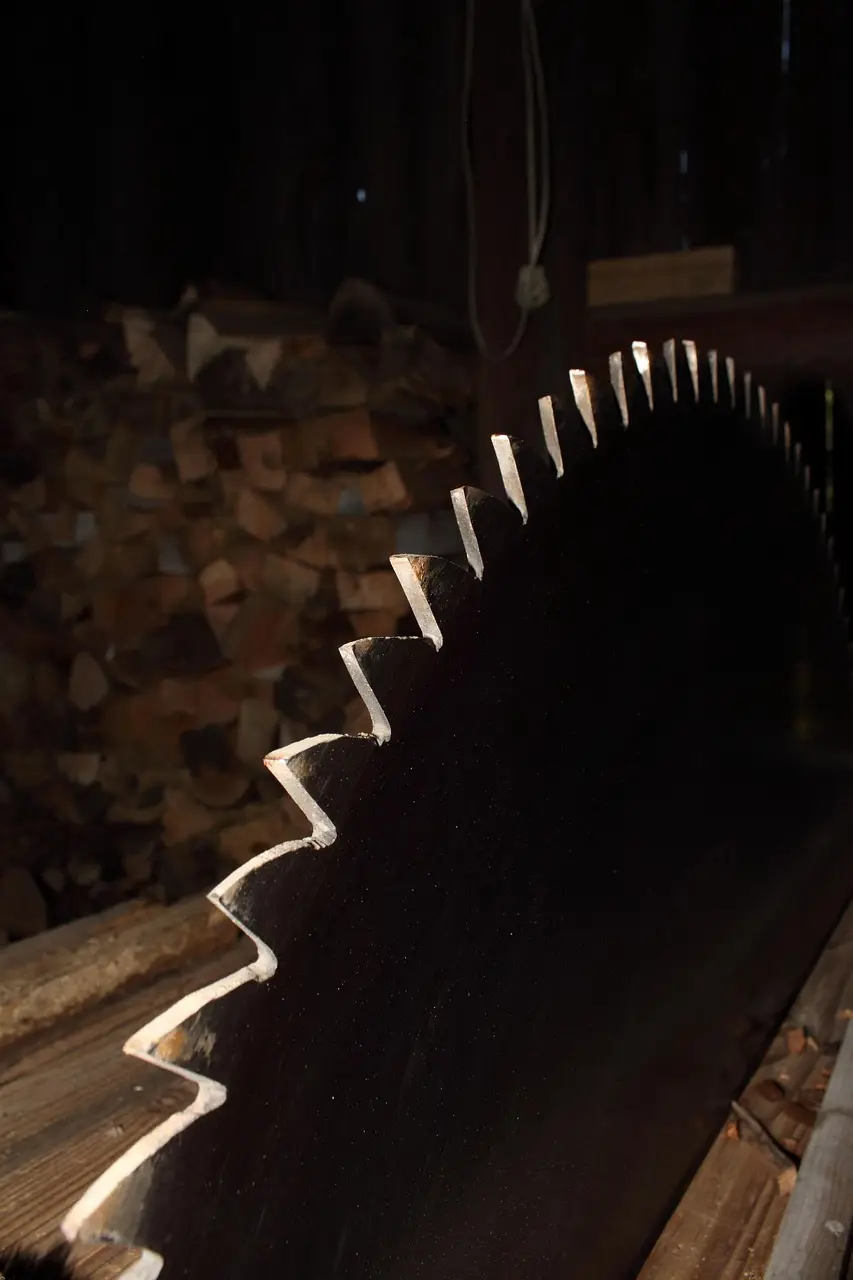 saw, wood, cutting, the structure of the, opal, chopped tree, work, edge, firewood, nature